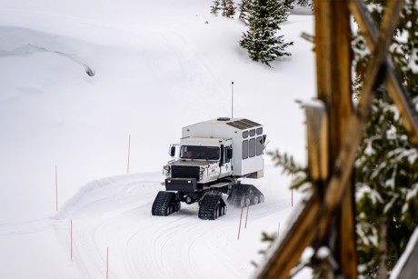 A cats driving through a snowy path.